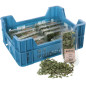ORIGAN GROSBUSCH 12X20G